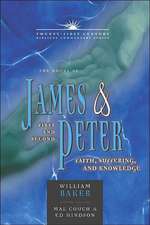 The Books of James and 1, 2 Peter: Faith, Suffering, and Knowledge