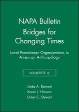 Bridges for Changing Times – Local Practitioner Organizations in American Anthropology