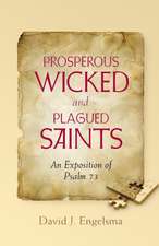 Prosperous Wicked and Plagued Saints