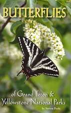 Butterflies of Grand Teton & Yellowstone National Parks