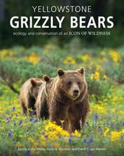 Yellowstone Grizzly Bears