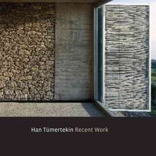 Han Tumertekin – Recent Work