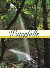 Waterfalls of the Smokies