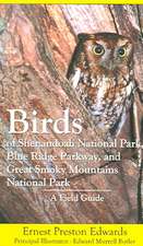 Birds of Shenandoah National Park, Blue Ridge Parkway, and Great Smoky Mountains National Park: A Field Guide