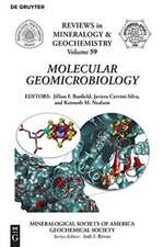 Molecular Geomicrobiology