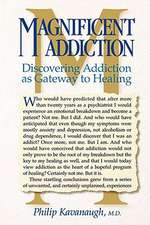 Magnificent Addiction: Discovering Addiction as Gateway to Healing