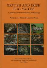 British and Irish Pug Moths – a Guide to their Identification and Biology