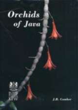 Orchids of Java