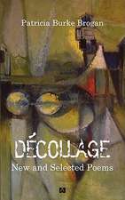 Decollage New and Selected Poems: Isolation, Separation, Identification and Lipidomic Analysis