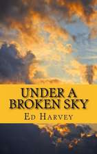 Under a Broken Sky: Small Stories for the Big Screen That Were Never Loved