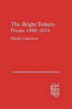 The Bright Tethers: Poems 1988 -- 2016