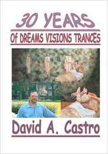 30 Years of Dreams, Visions, Trances: Another Perspective of the Coming Raptures