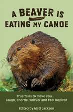 A Beaver is Eating My Canoe