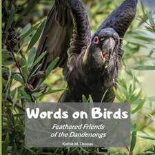 Words on Birds