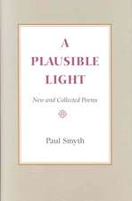 A Plausible Light: New and Collected Poems