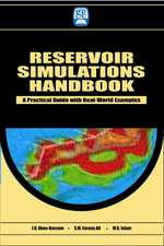 Petroleum Reservoir Simulations