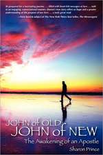 John of Old John of New: The Awakening of an Apostle