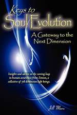 Keys to Soul Evolution