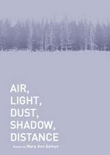 Air, Light, Dust, Shadow, Distance