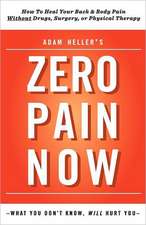 Adam Heller's Zero Pain Now: Stories and a Novella