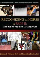 Recognizing the Horse in Pain II