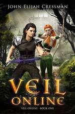 Veil Online - Book 1 (a LitRPG MMORPG Adventure Series)