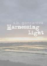 Harnessing Light