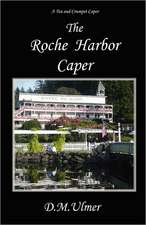 The Roche Harbor Caper: A Stockbroker's Journey Through the Global War on Terror