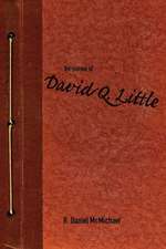 The Journal of David Q. Little