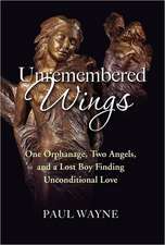 Unremembered Wings