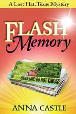 Castle, A: Flash Memory