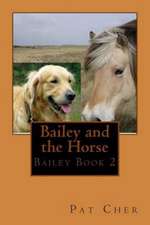 Bailey and the Horse: Generally Accepted Practice in Enterprise Software Development