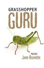 Grasshopper Guru: Astrology as a Tool for Meditation and Self-Inquiry