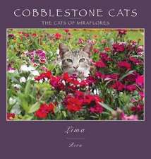 Cobblestone Cats - Lima