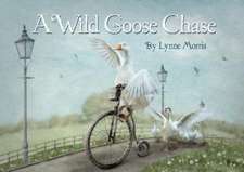 A Wild Goose Chase