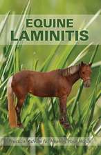 Equine Laminitis