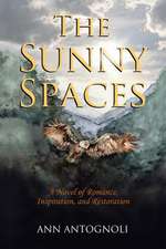 The Sunny Spaces