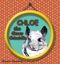 Chloe the Clever Chinchilla