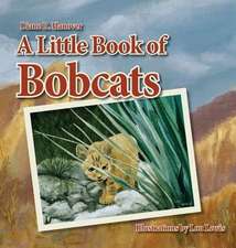 A Little Book of Bobcats