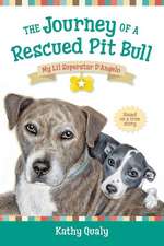 The Journey of a Rescued Pit Bull