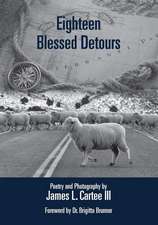 18 BLESSED DETOURS REVISED WIT