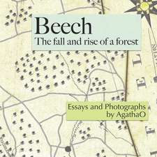 Beech: The Fall and Rise of a Forest