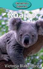 Koalas