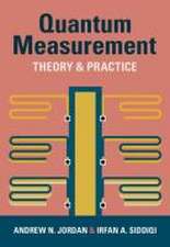 Quantum Measurement