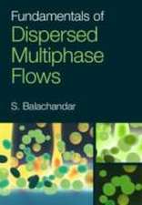 Fundamentals of Dispersed Multiphase Flows