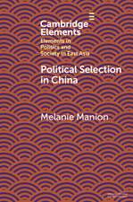 Political Selection in China: Rethinking Foundations and Findings