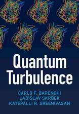 Quantum Turbulence