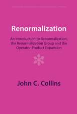 Renormalization: An Introduction to Renormalization, the Renormalization Group and the Operator-Product Expansion