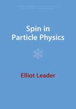 Spin in Particle Physics