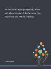 Bioinspired Superhydrophobic Nano- and Microstructured Surfaces for Drag Reduction and Optoelectronics